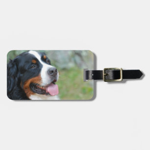 Para Maletas Etiqueta linda del equipaje de Bernese