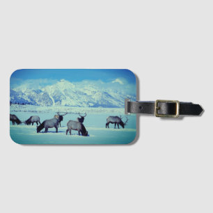 Para Maletas Grandes tetones y cordero en etiqueta portaequipaj