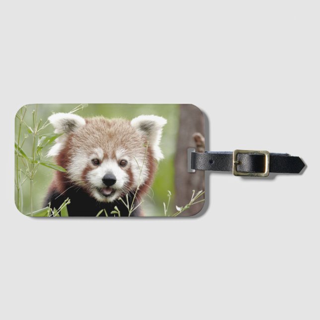 Para Maletas Panda de equipaje 3. Etiqueta del equipaje (Anverso horizontal)
