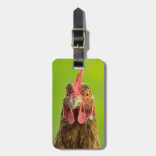 Para Maletas Pollo divertido - etiqueta del equipaje de la