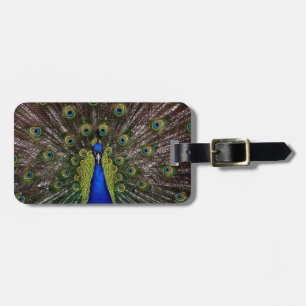 Para Maletas Proud Peacock etiqueta el equipaje