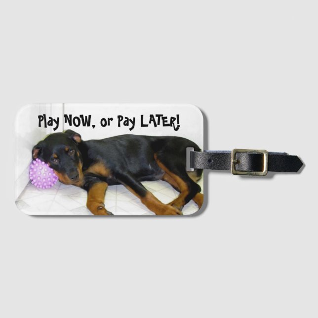 Para Maletas Rottweiler Heidi Play Now, Pay posterior etiqueta  (Anverso horizontal)