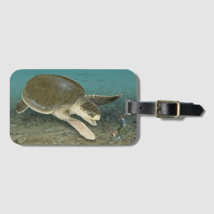 Para Maletas Tortuga de mar de Ridley de Kemp en etiqueta del