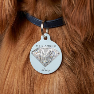 Para Mascotas Joyería de Diamantes con Estilo Placa Personalizad
