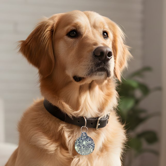 Para Mascotas Placa de identificación de mascota Retro Disco (Subido por el creador)