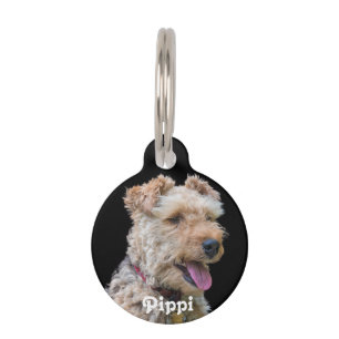 Para Mascotas Placa de identificación de Terrier galés