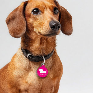 Para Mascotas Placa de identificación rosada de la