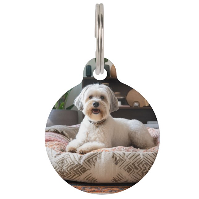 Para Mascotas Placa identificativa redonda personalizada con fot (Anverso)