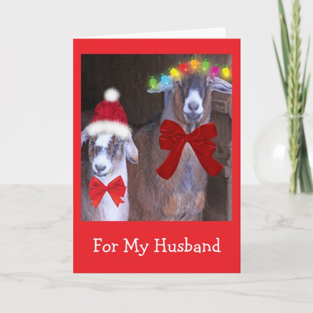 "Para mi marido" Tarjeta de Navidad de cabra linda (Anverso)