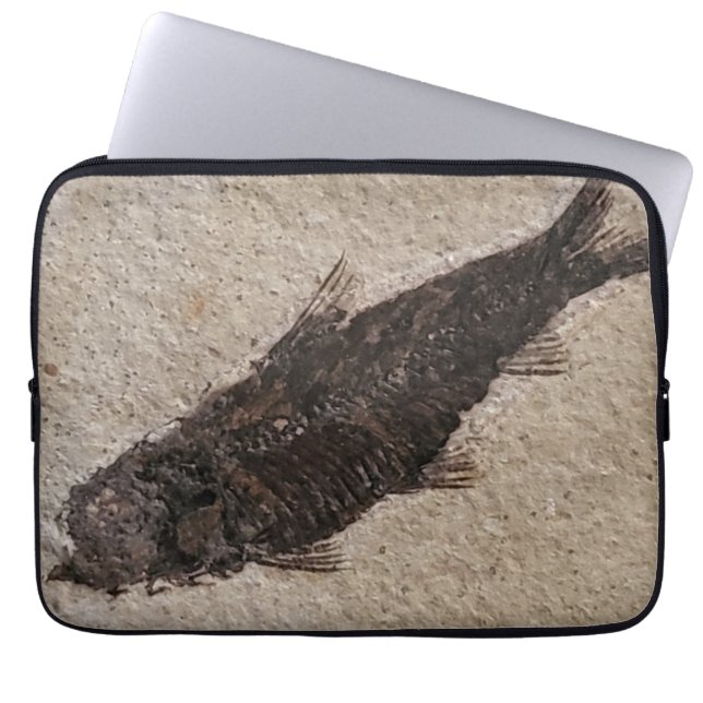 Para Portátil Funda de electrónica de pescado fosilizado (Frente)