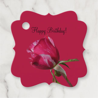 Para Recuerdos Etiquetas colgantes de regalo de cumpleaños feliz