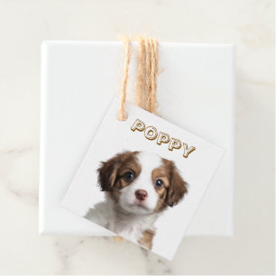Para Recuerdos Etiquetas personalizado de fotos de perros y nombr