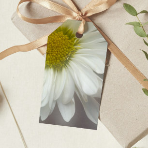 Para Regalos Blanda margarita blanca sobre las etiquetas de fav