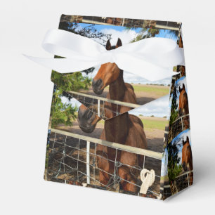 Para Regalos Caballo de la Bahía Marrón, caja de regalo