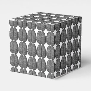 Para Regalos Caja de Favor de Anatomía del Cerebro Humano Vinta