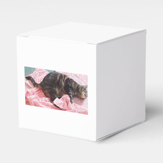 Para Regalos Caja de Favor de Dave Tailor (Costado Anverso)