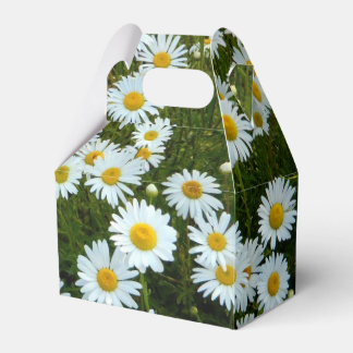 Para Regalos Caja de Favor de la Fiesta de Daisy Salvaje
