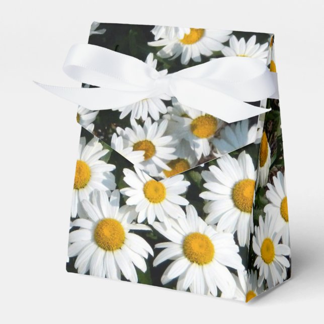 Para Regalos Caja de Favores Daisy Sunshine (Front Side)