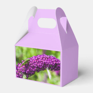 Para Regalos caja de favores de energía de katydid