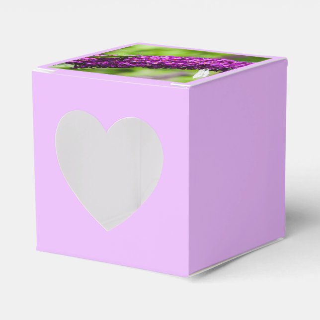 Para Regalos caja de favores de energía de katydid (Anverso)