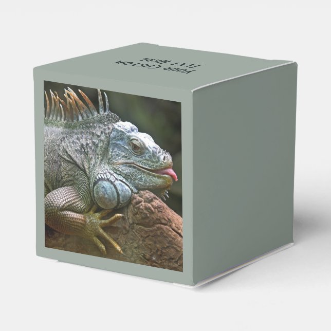 Para Regalos Caja de favores del personalizado de Iguana (Reverso Costado)
