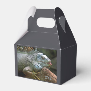 Para Regalos Caja de favores del personalizado de Iguana