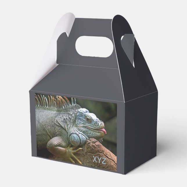 Para Regalos Caja de favores del personalizado de Iguana (Reverso)