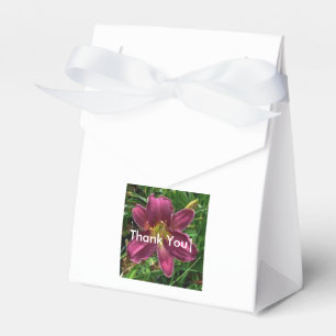 Para Regalos Caja de Goodie