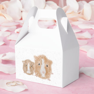 Para Regalos Caja de regalo de cobaya