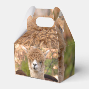 Para Regalos Caja de regalo de la alpaca