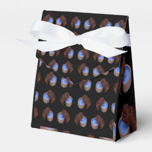 Para Regalos Cerdo pequeño de Guinea marrón, caja de favores de