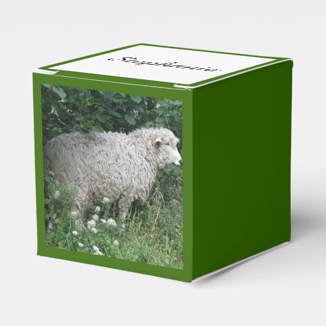 Para Regalos Cuta codiciosa oveja comiendo Personalizado caja d (Costado Anverso)