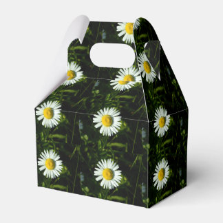 Para Regalos Deslumbrante caja de favores del partido Daisy