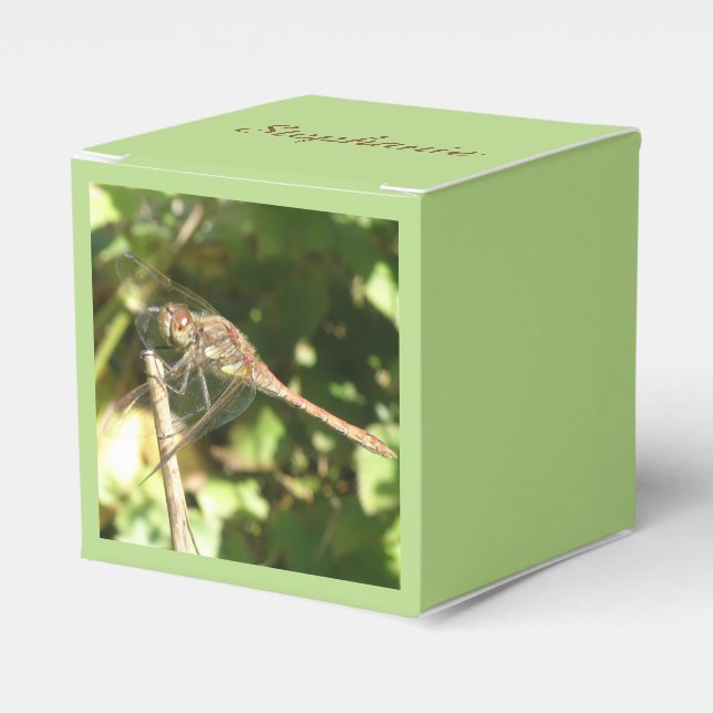 Para Regalos Dragonfly en una caja de favores de peluca (Costado Anverso)