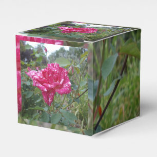 Para Regalos Elegante Rosa De Rayas Rosa Y Blanco, Caja De Favo