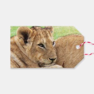 Para Regalos Etiquetas de encargo del regalo del tigre de bebé