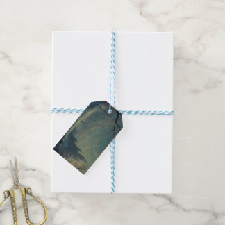 Para Regalos Etiquetas de regalo - Congeladas