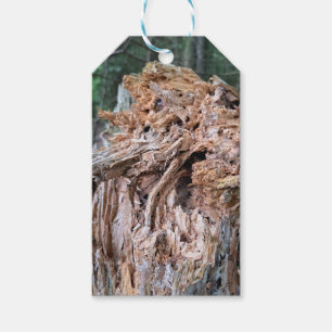 Para Regalos Etiquetas de regalo de árbol roto