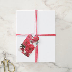 Para Regalos etiquetas de regalo de flores rosadas del resorte 