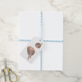 Para Regalos Etiquetas de regalo de petirrojo
