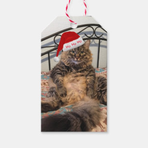 Para Regalos Etiquetas de regalo de Santa Cat Ho Ho Ho Ho Ho Ho