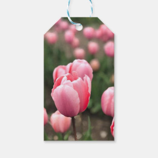 PARA REGALOS ETIQUETAS DE REGALO DE TULIP