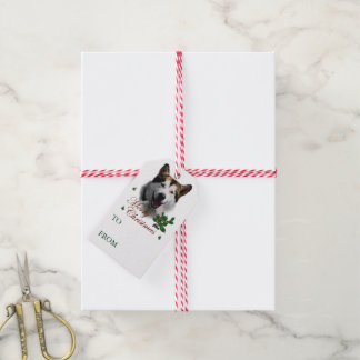 Para Regalos Etiquetas de regalo navideño de Malamute en Alaska