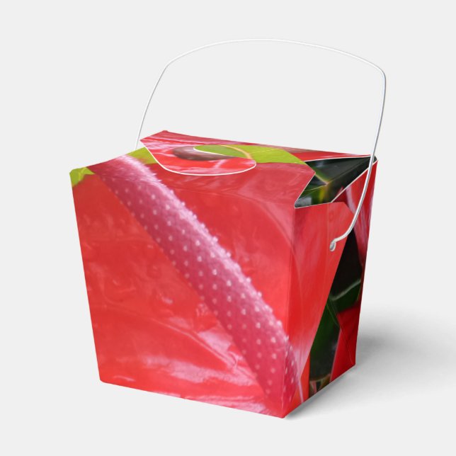 Para Regalos Flores rojas sacan caja de favores (Front Side)