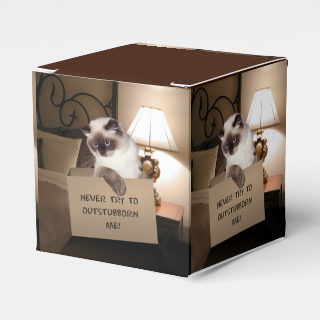 Para Regalos Gato en caja (Costado Anverso)