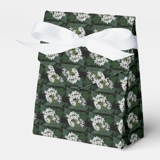 Para Regalos Hermosa caja de flores tropicales blancas (Front Side)