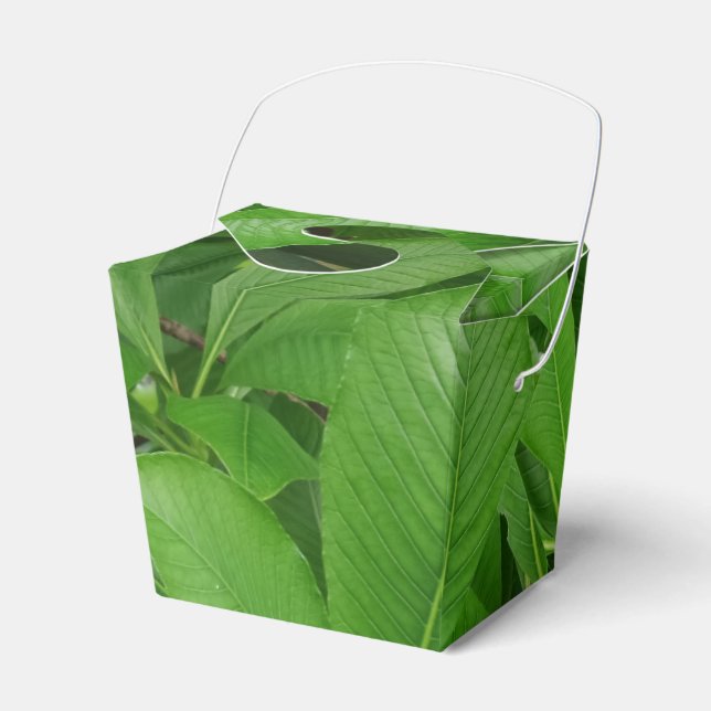 Para Regalos Leafs verdes sacan caja de favor (Front Side)