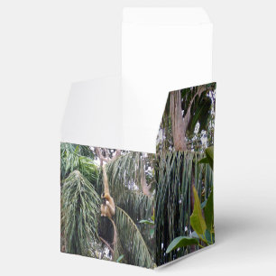 Para Regalos Mono Gibbon solo chillin, caja Fiesta favorita