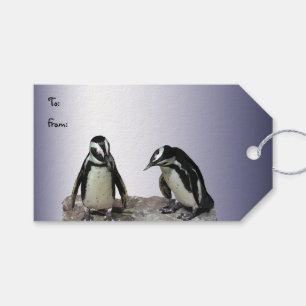 Para Regalos Paquete de Pingüinos con etiquetas de regalo