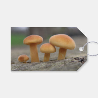 Para Regalos Pequeñas toadstools macro Personalizado etiquetas 
